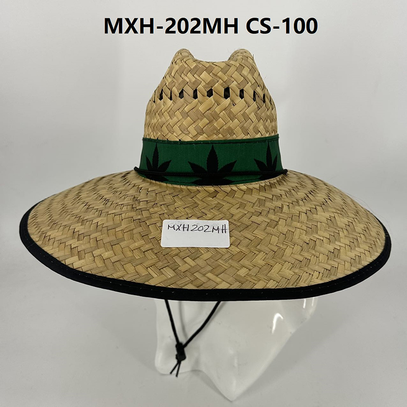 MXH-202MH CS-100